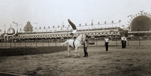 An equestrian vaulter performing in 1901.